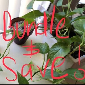 Get your sale on and Bundle up!!!